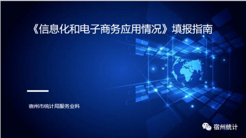 信息化与电子商务应用情况填报指南——电子商务部分详解